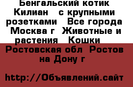 Бенгальский котик Килиан , с крупными розетками - Все города, Москва г. Животные и растения » Кошки   . Ростовская обл.,Ростов-на-Дону г.